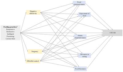 Sequential mediation of early temperament and eating behaviors in the pathways from feeding practices to childhood overweight and obesity